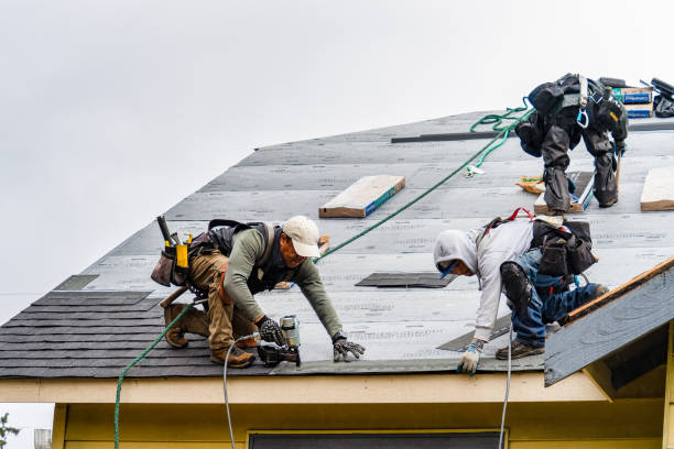 Professional Gutter Installation technician working in Prairie, MS